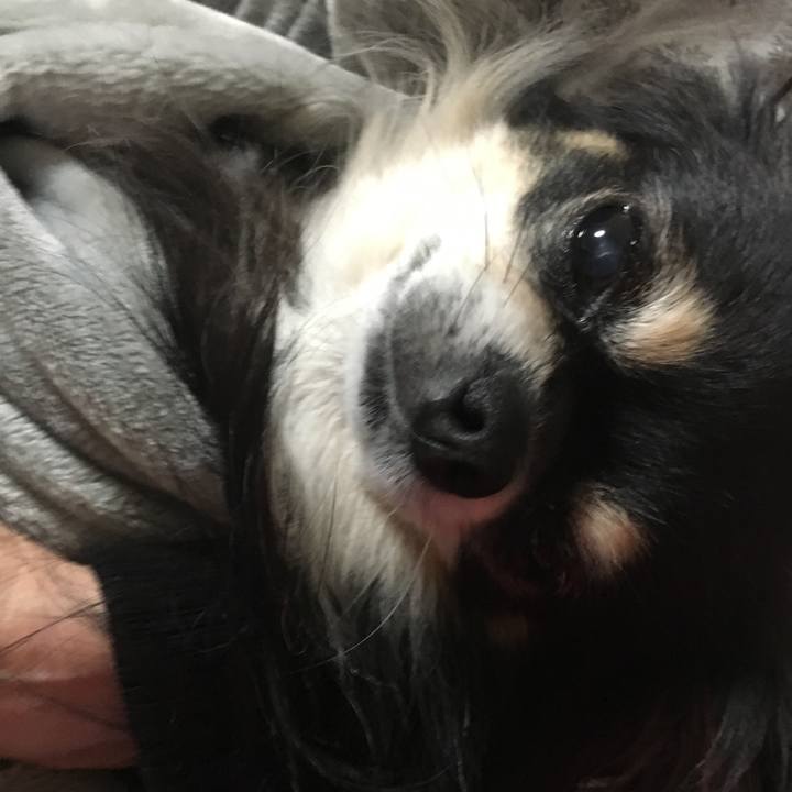 38b4a66e de41 425c aa14 2506a5c3cf1f