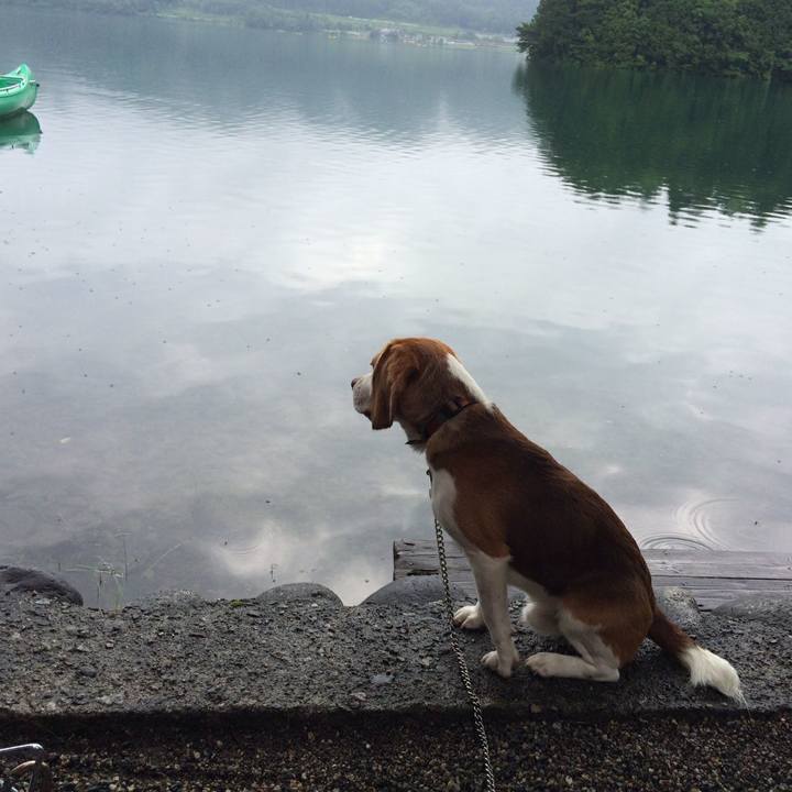 38b62529 4fc4 404a b031 aba65ae7850e