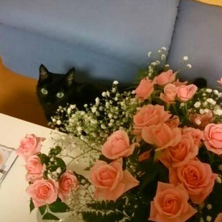 38b7526d bfb1 4ee5 8e9c ac106bdad3cc