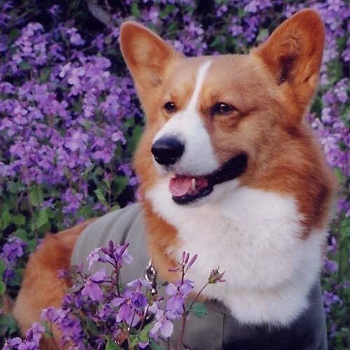 38b79705 55ca 44a0 8896 2f6c45988af9