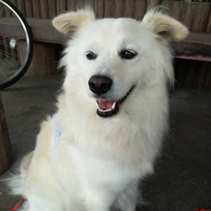 38b83aa8 3114 4ddf b2e8 8591213299c6