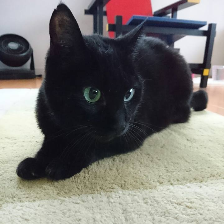 38b879d0 e65b 4c31 b0fa cb5ea002358d