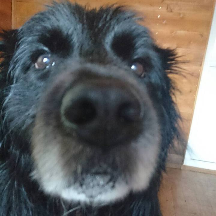 38b8ca96 eab1 45e0 8fca 5ee76b8ba8c6