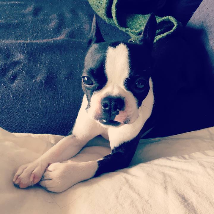 38b8d4a3 0850 4fc5 b63a 450d0ce5e438