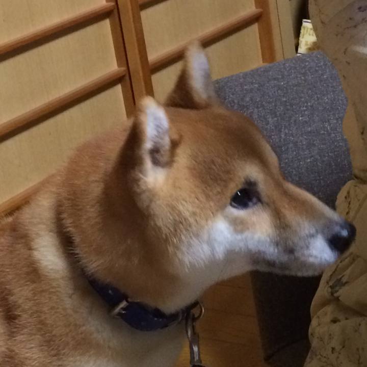 38b9c3c2 96b5 4415 8448 8aabee5ab6f4