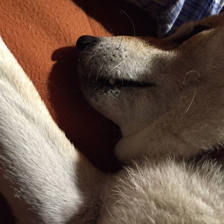 38b9f1bd 8254 4e2a a57f 1929f865d5c3