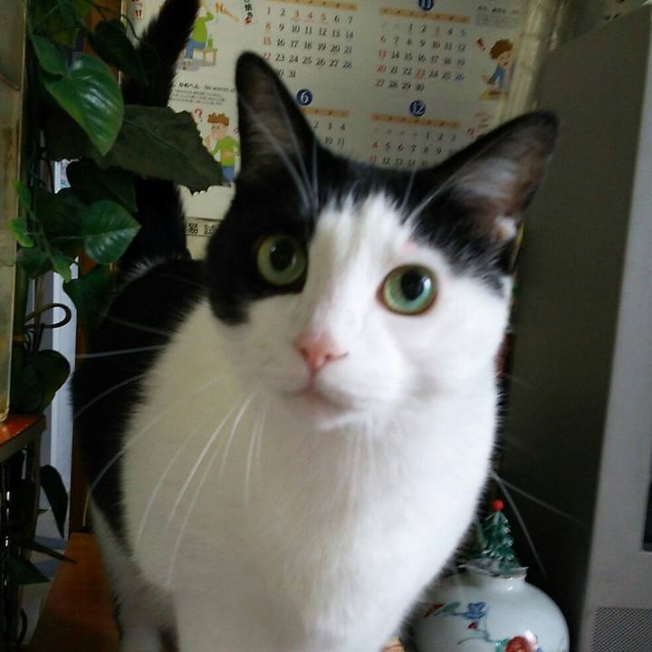 38ba2081 4bd3 4284 b03a 982b69961130