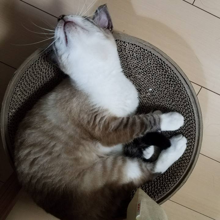 38baa5a5 6d86 41b6 80e9 3042870da1f3