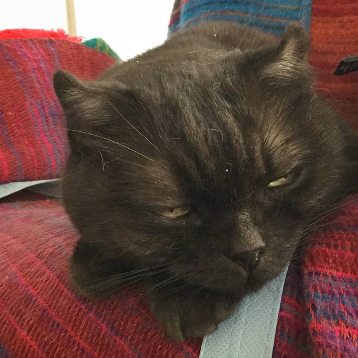 38baba46 14f6 4271 a045 5a2158605b56