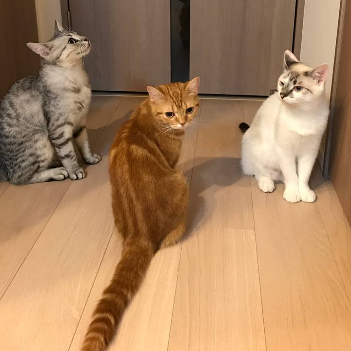 38bb4560 f12d 41af b9c5 acdf47b7dd31