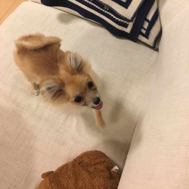 38bbd7fe 78be 4737 b703 7b77423ef664