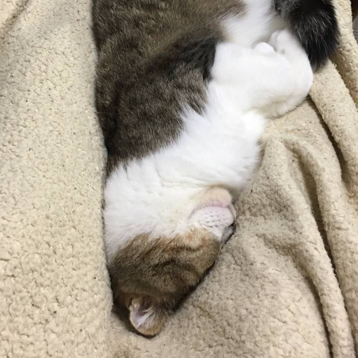 38bc6865 bcd1 40e5 8f50 9a76fb1f93d0