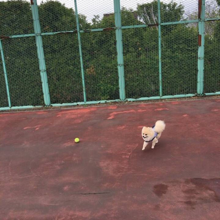 38bcdf12 04de 49cf aa1f c7c59f3dbda9