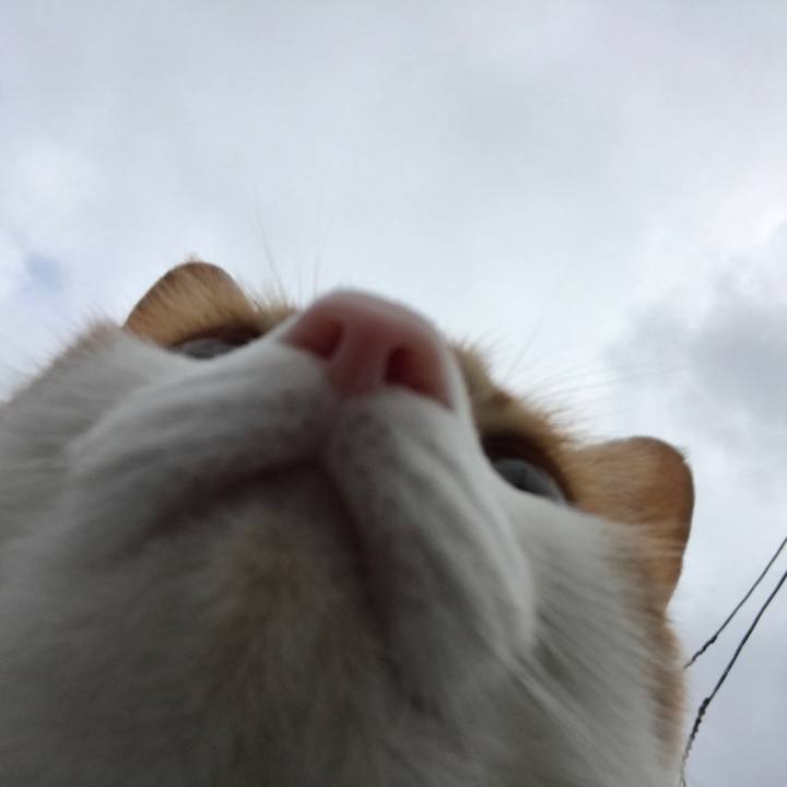 38bd6aad 5a8c 41d0 a8dd 53ae9def6023