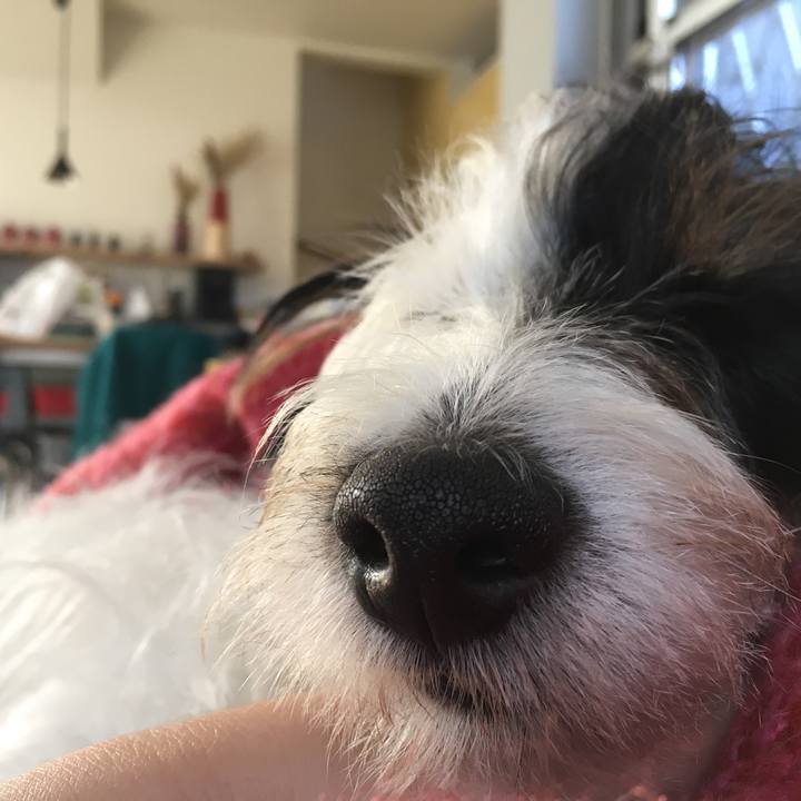 38bdbb02 d620 437f 98e7 96fca7ddab4e