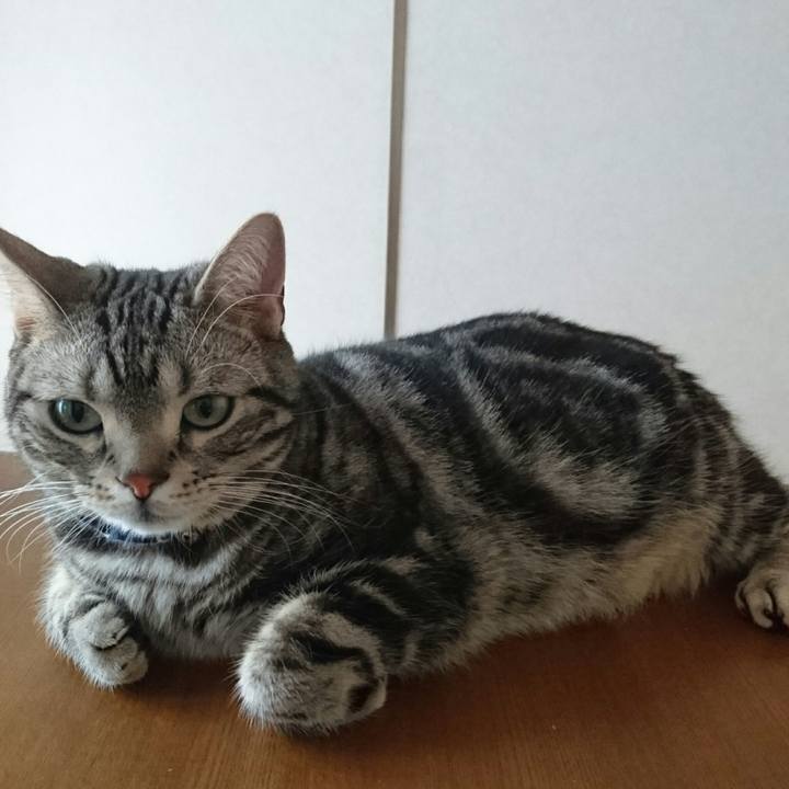 38be1c8e ef86 487b 93fe f34ab4ad93a9