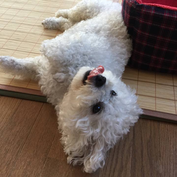 38be6319 d21c 4325 ad5b 35d438f5632d