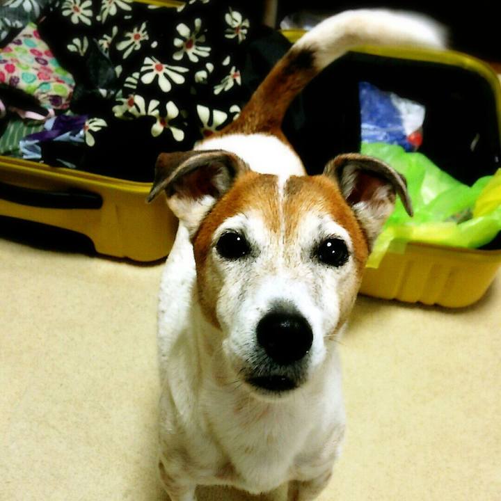 38bef8b8 864c 48fa a184 ce05aeb4194c