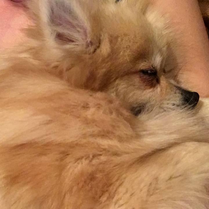 38bf56e9 3fca 498a 964c 91a7861c71aa