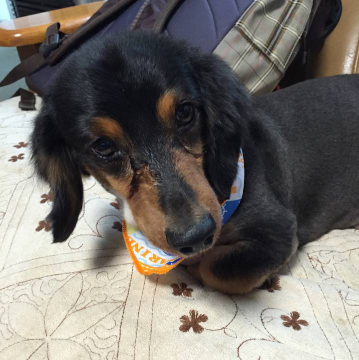 38c027ab c587 42f6 9b09 063d255961e2