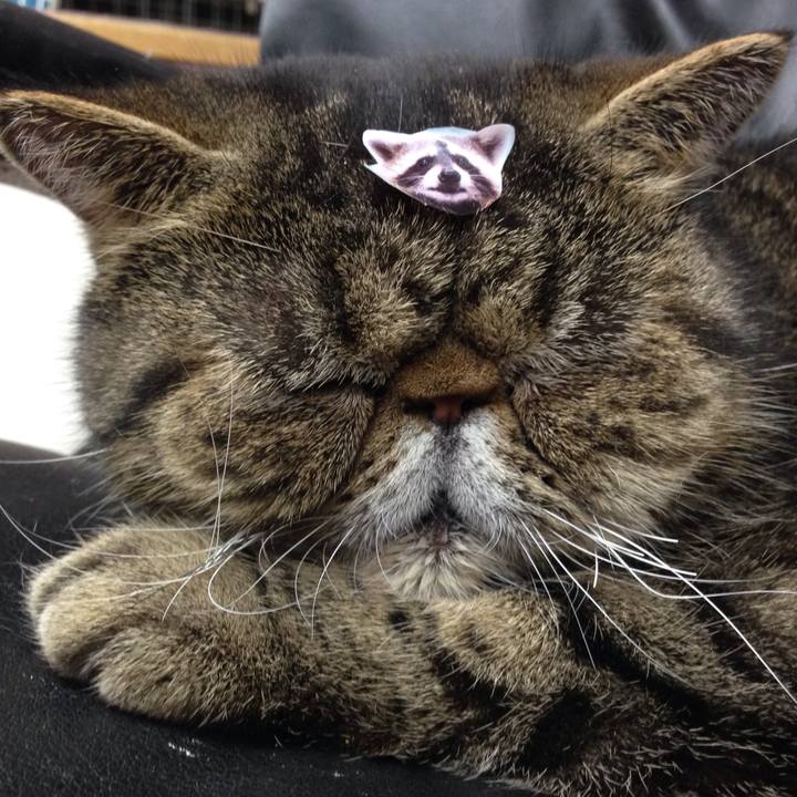 38c183b1 0d08 43c7 91e7 7036b3d7f2a1