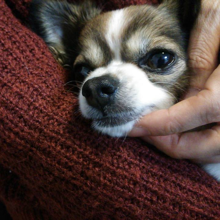 38c18c50 be7f 440e 81cc 6071d2708eca