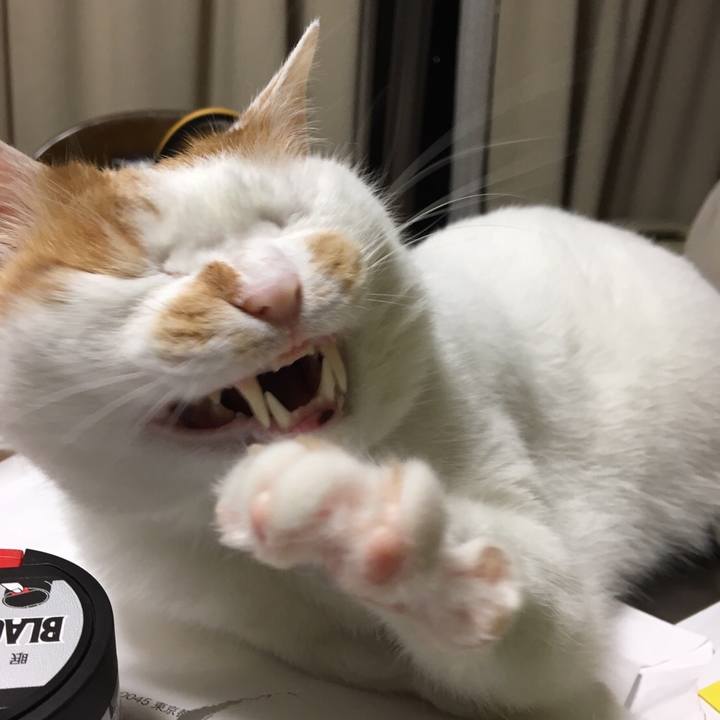 38c1c1a9 f599 43d5 a9db 89401fd87aa9