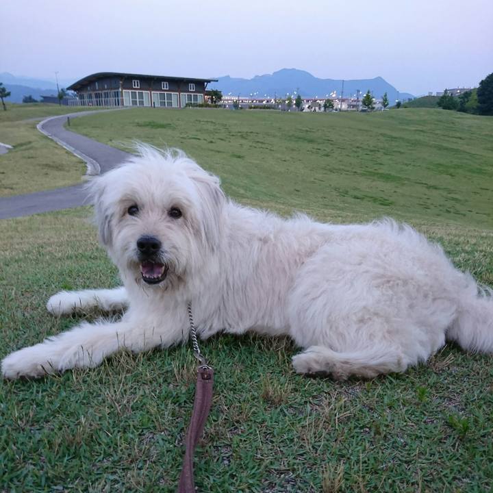 38c1e9e0 20e7 46b6 b871 18cd832a745f