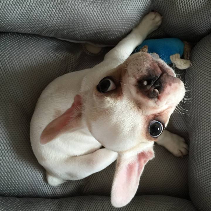 38c1ed2f f306 4103 970a 28b66d501d3f