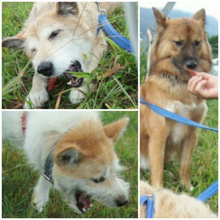 38c1f2eb 3a38 43ae 8dc4 762788cb0f34