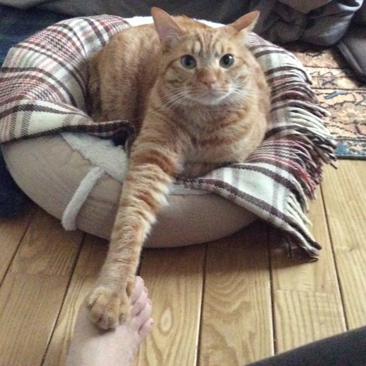 38c259a5 acaa 4837 9eb8 90a54b9684cd