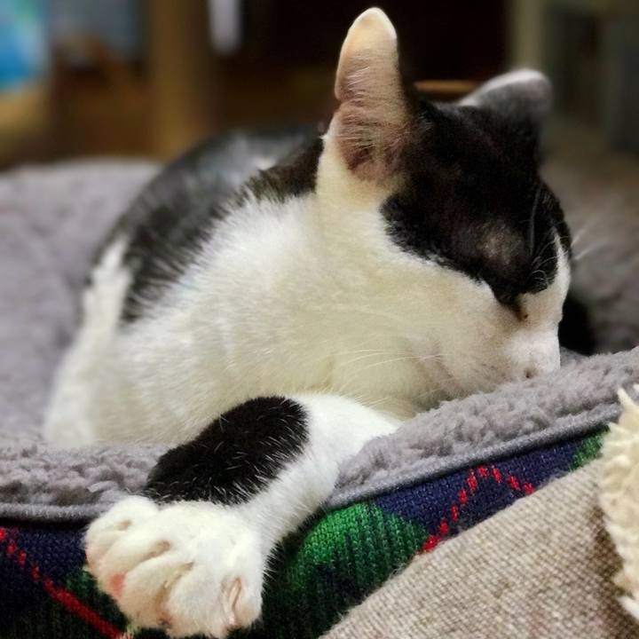 38c37b28 d4fb 4451 9954 d2708f3bbf6d