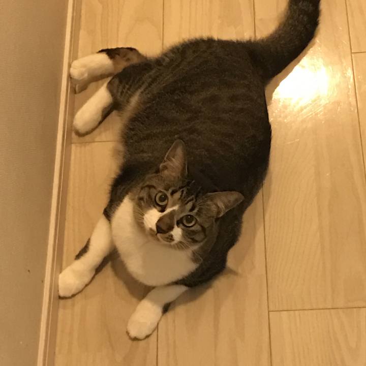 38c3a872 3473 4475 a37b 835aa3f3c0b2