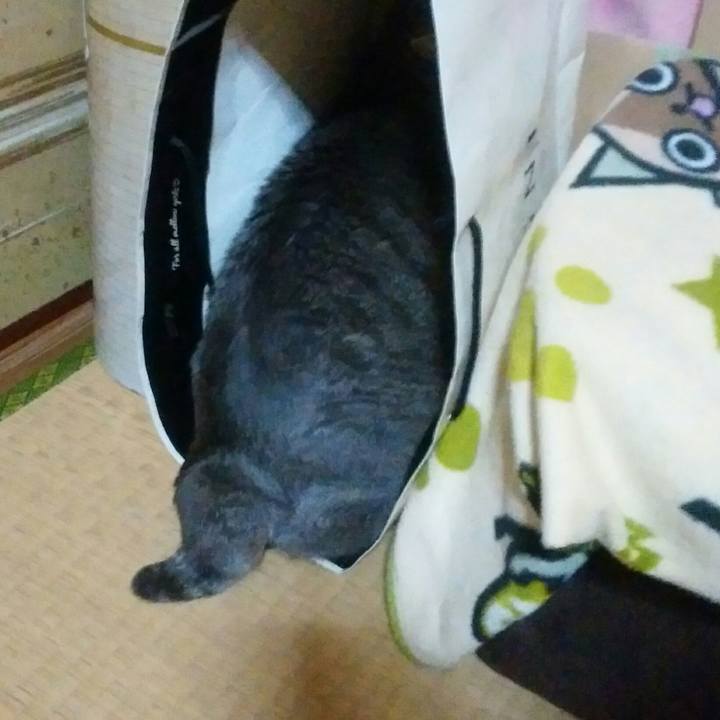 38c4ed04 3f1c 4111 b562 c9acd1fcafbf