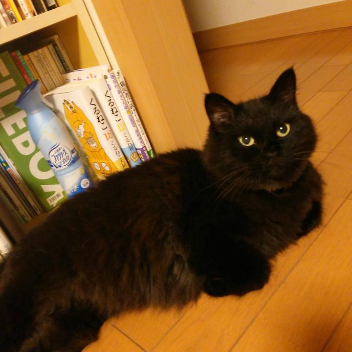 38c5750a c4d4 4463 a4b3 38c7cc32b366