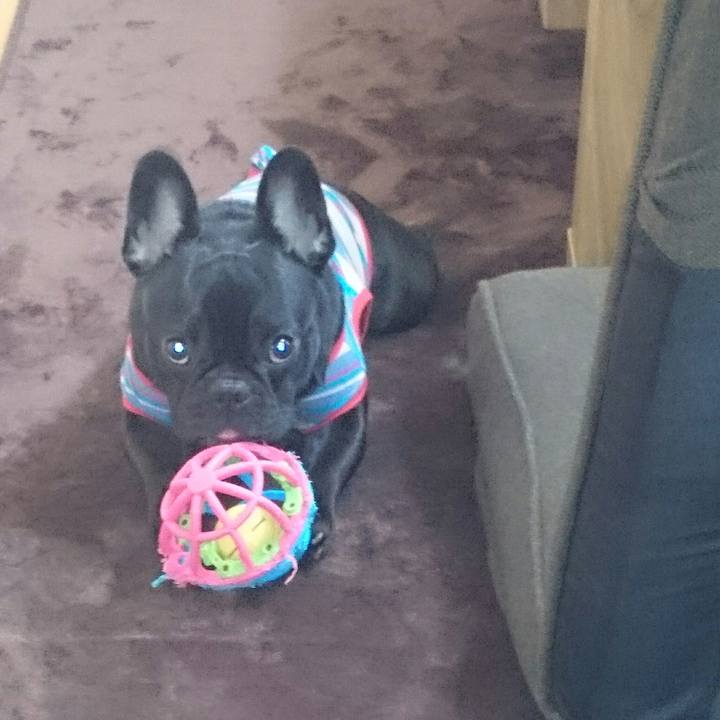 38c60153 1e27 4f39 89a4 830184ee06e3