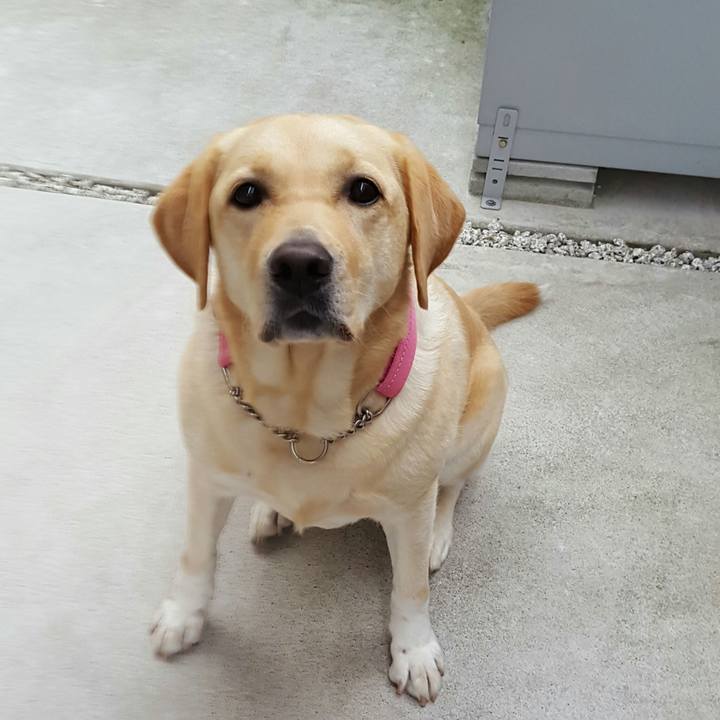 38c61588 a7bc 405f 8266 4a1ab3ec9863