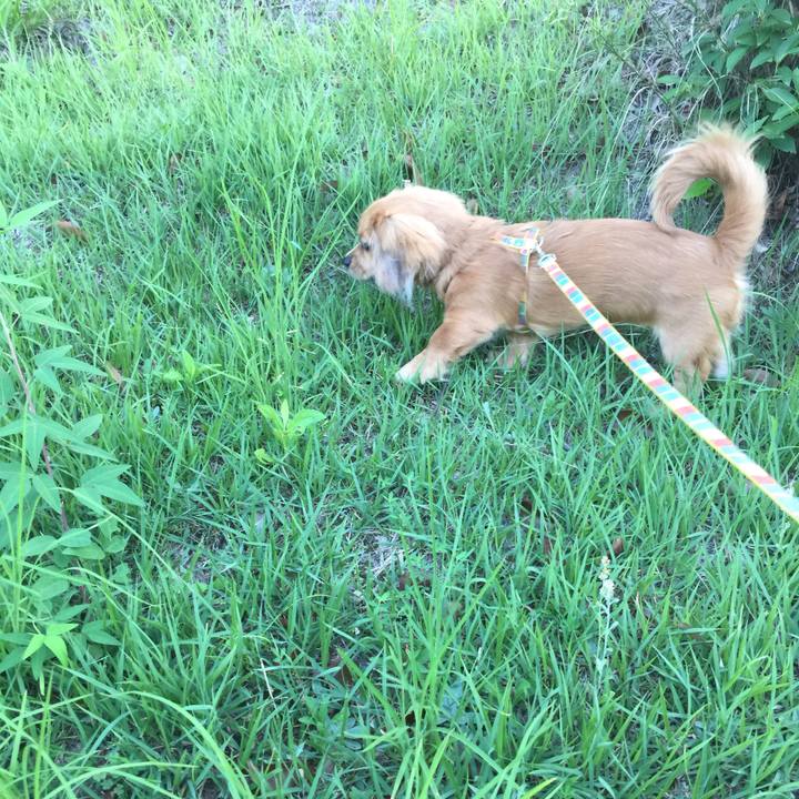 38c644b4 ffd9 40f5 8751 a7e577226e9f