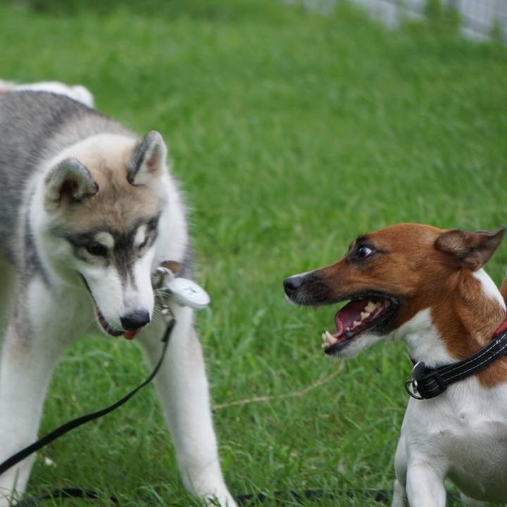 38c6cba3 608e 41f3 a752 0eaa3968b37a