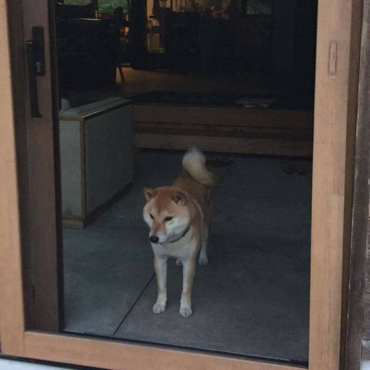 38c753b2 92f7 46df 8034 a8a67e5f952f