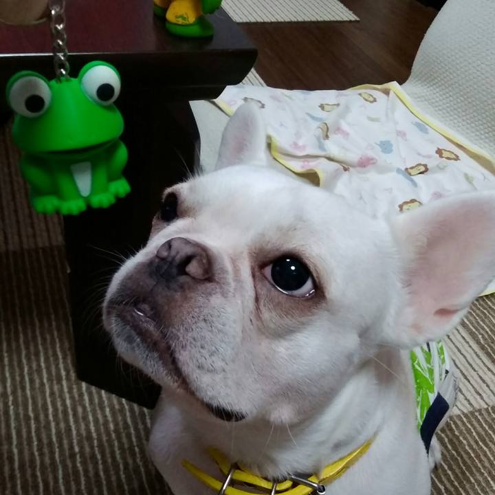 38c77b6e d1cd 43d8 b645 09423863bfd1