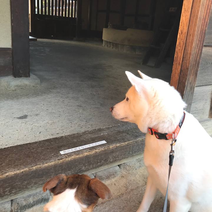 38c80789 1c80 4349 93be 44751adea849