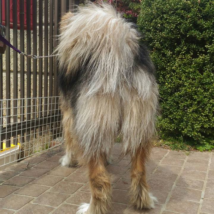 38c8bc1e cbdc 4ff4 8f85 c9179501c62d