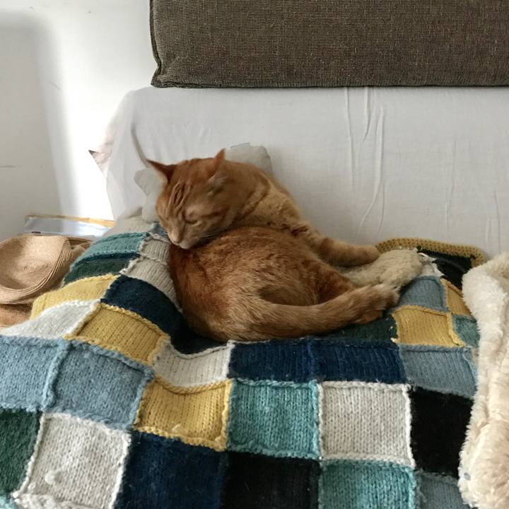 38c8d25d 2ec0 4391 aa6e 1f41a11db5de