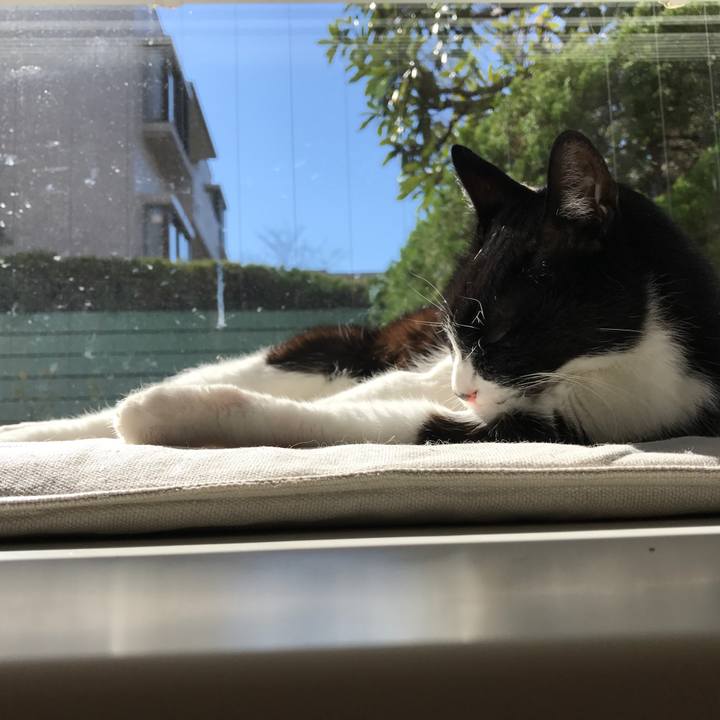 38c8dfec 2c26 4c7b 9cf1 72b54ee96748