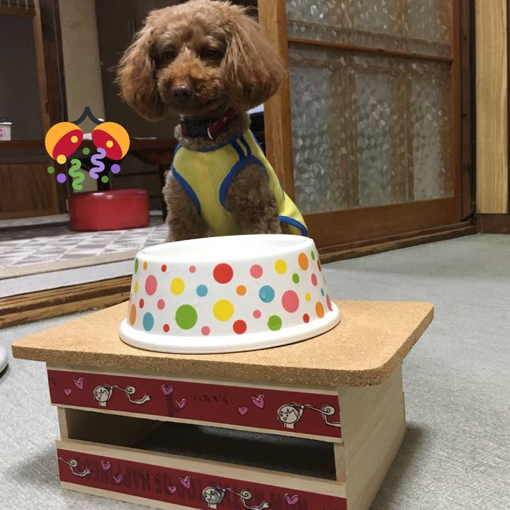 38c93122 ddb1 4fae 9f40 e725ab261e5c