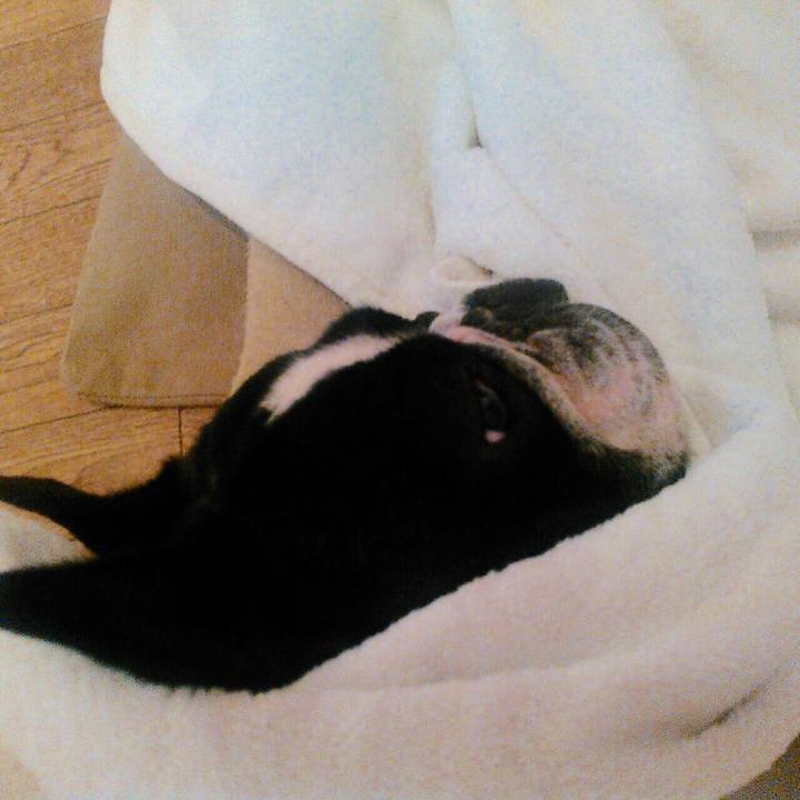 38c95cb6 33fc 4ec7 a594 d2d3a2d6177c