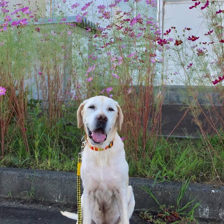 38c999e8 083d 46ab 9516 547d03cdbd37