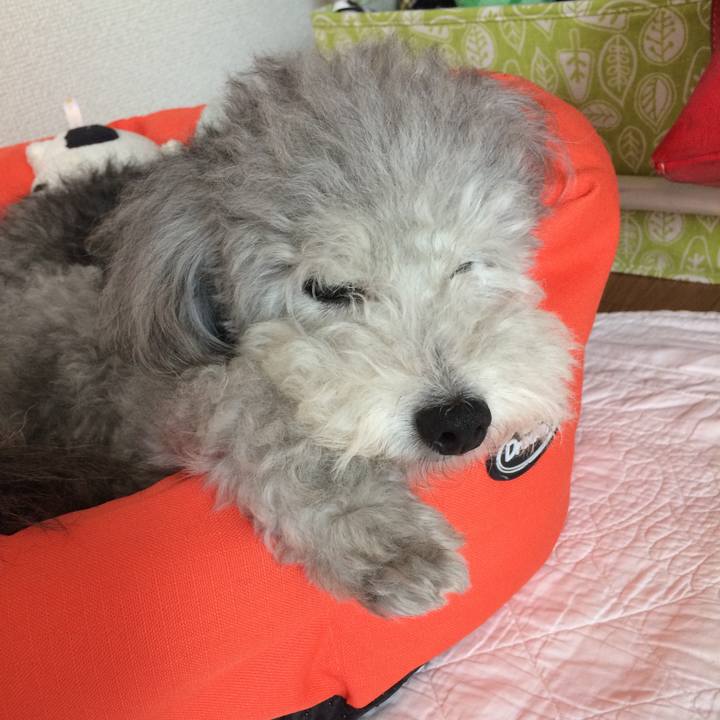 38c9dbe6 2e6d 44fb b344 07005c37e21d