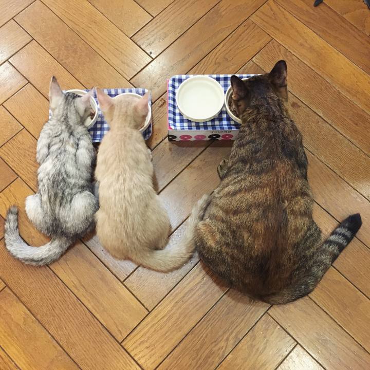 38cae62f 8fe4 40e0 9625 944db29297d3